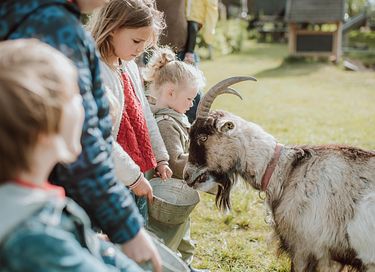 Knusse studio (4p) op Gelderse boerderij - 24