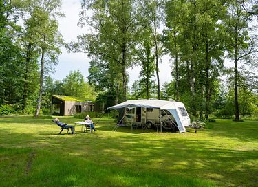 Uniek tiny house tussen de bomen - 14
