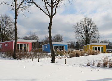 Kleurig chalet voor 4 personen in Gelderland - 16