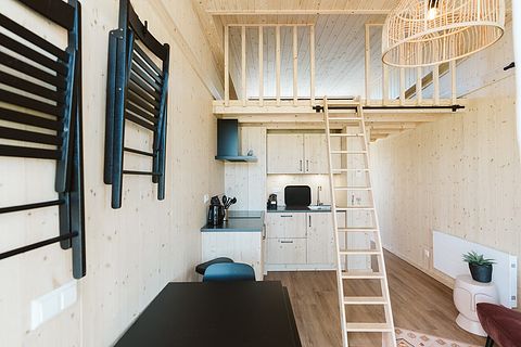 Huisdiervriendelijk tiny house vlakbij de zee - 4