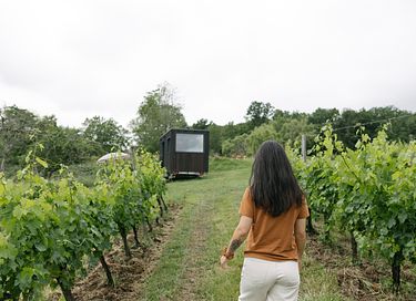 Tiny house dans les vignes en Dordogne - 10