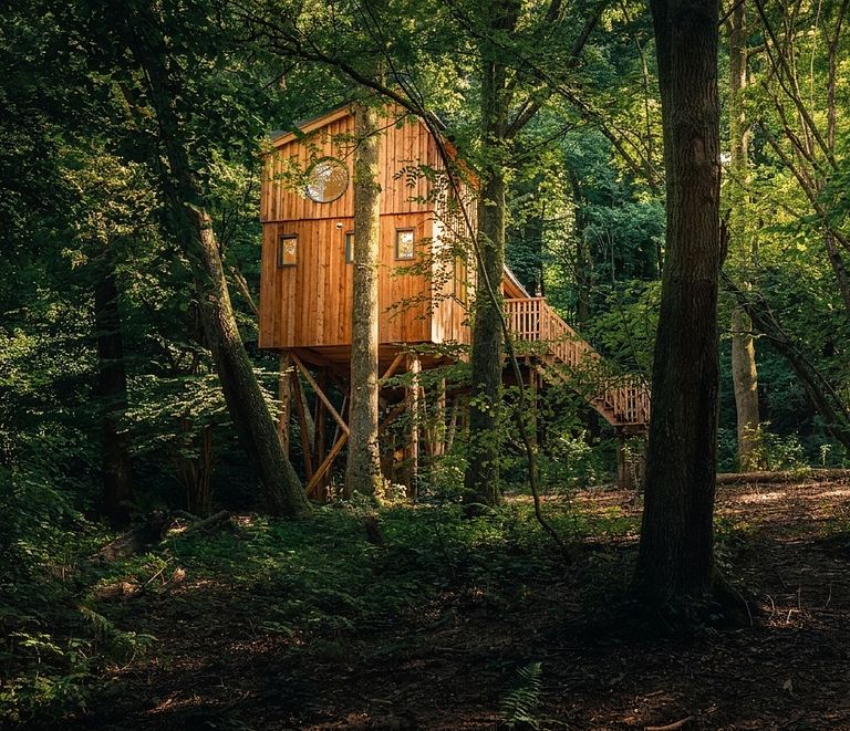 Romantic overnight stay among the trees - 1