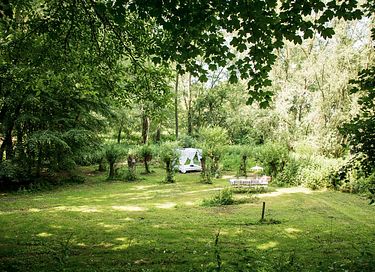 Unieke paardentram op een prachtige locatie - 18