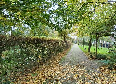 Knus natuurhuisje voor 2 personen - 12