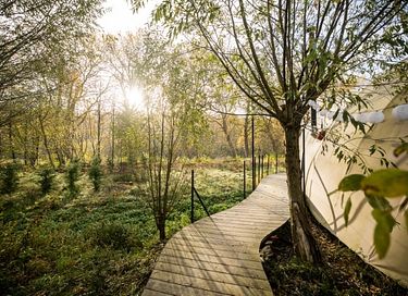 Luxe privé glamping aan het water met hottub - 31