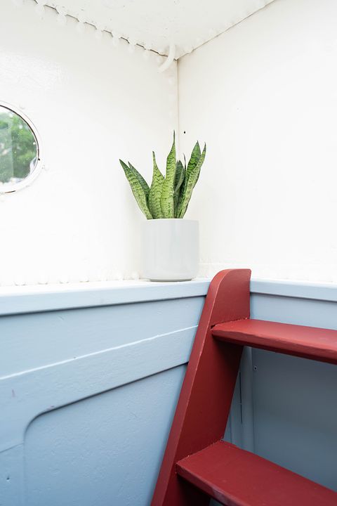 Unieke overnachting in bijzondere B&B - 3