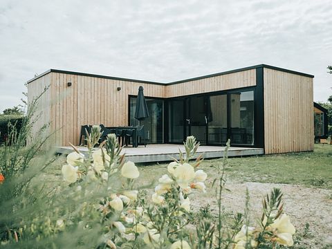 Tiny house (4p) sur une île néerlandaise - 3