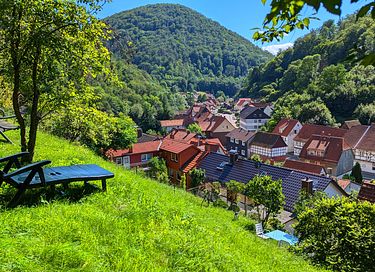 Romantic holiday home in the Harz Mountains - 2