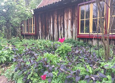Prachtig natuurhuisje als in een sprookje - 20