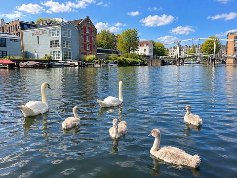 Ein verstecktes Hausboot im Herzen von Amsterdam - 3