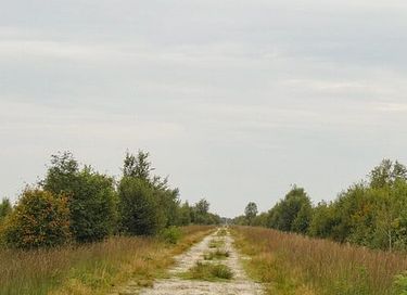 Zirkuswagen mit Hottub & Moorblick - 23
