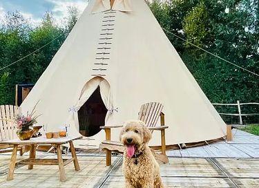 Slapen in een romantische tipi met hottub - 5