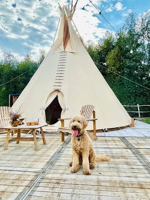Slapen in een romantische tipi met hottub - 5