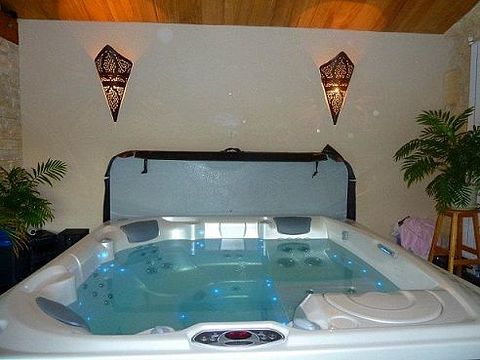 Vakantie met eigen jacuzzi omringd door bos - 4