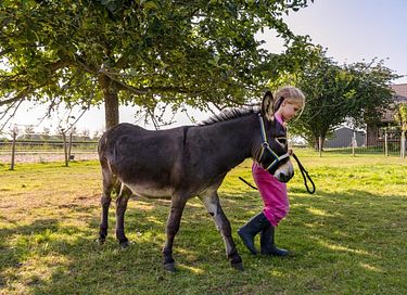  Glamping à la ferme laitière et animale - 11
