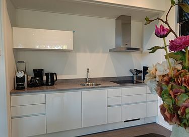 Logement de vacances de luxe dans le Veluwe - 5