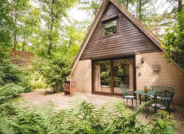 Attractive holiday home in the forest in Belgium - 2