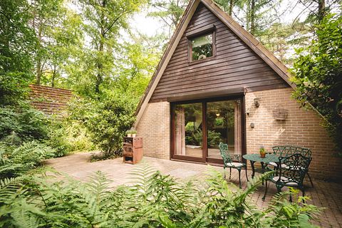 Attractive holiday home in the forest in Belgium - 2