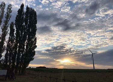 Pipowagen met natuurbad op eigen terrein - 23