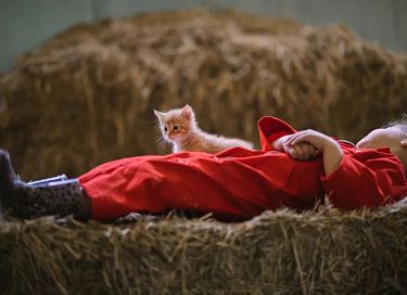  Glamping à la ferme à cheval et à poney - 12