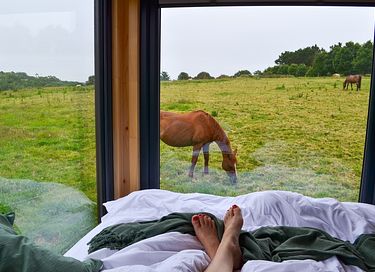 Tiny House in der Bretagne - 3