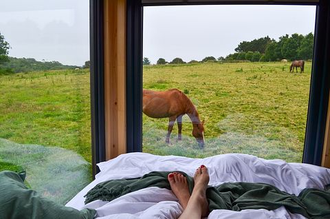 Tiny House in der Bretagne - 3
