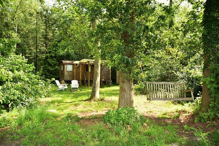 Shepherds hut in Drenthe with an unobstructed view - 1