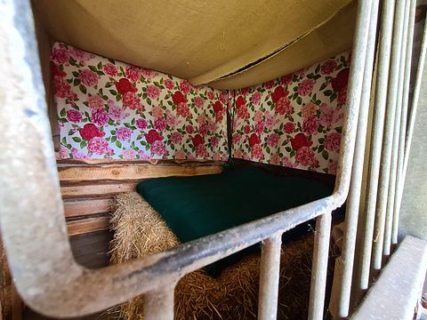 Slapen in een oude paardenstal incl. sauna - 3