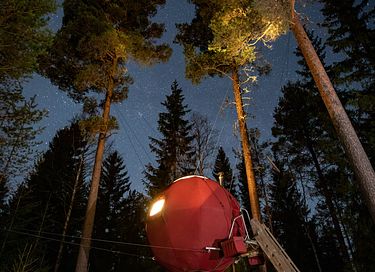 Tente glamping unique en pleine forêt - 3