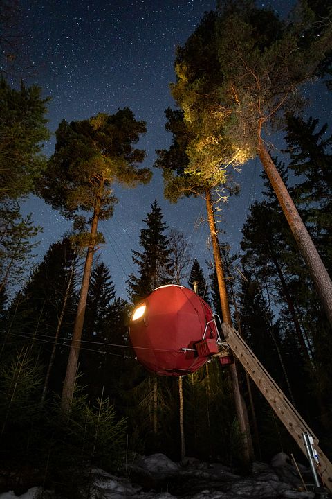 Tente glamping unique en pleine forêt - 3