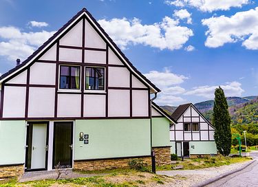 Large vacation villa (12 people) in the Eifel - 33