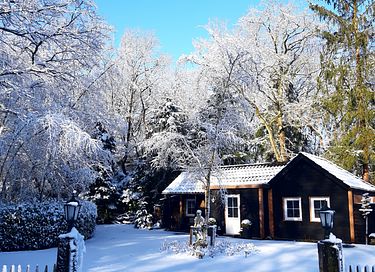B&B in the forest with private swimming pond - 37