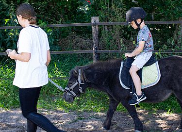 Safaritent op gezellige camping in Drenthe - 13