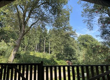 Luxe glampingtent in het bos met buitenbad - 10