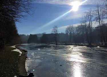 Groepsaccommodatie in de Ardennen (24p) - 29