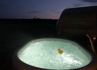 Belle maison de bien-être à Drenthe - 30