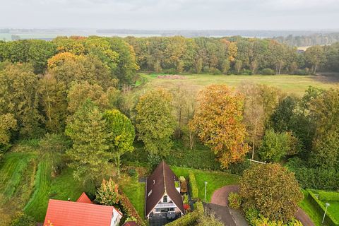 Ferienhaus in der Natur in Drenthe (A-Rahmen) - 4