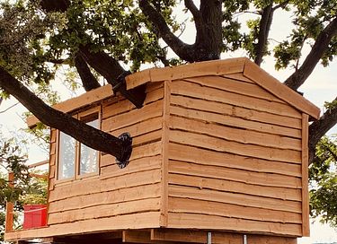 Dormez dans une unique cabane dans un arbre à Amsterdam - 11
