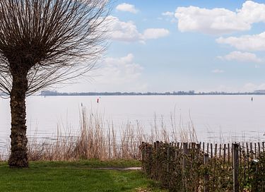 Sunny stay with dog by the water - 20