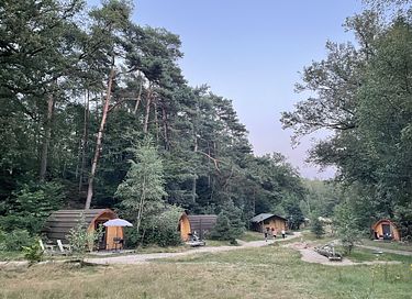 Luxury Pod in the middle of the forest - 11