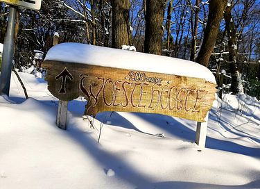 Einzelner Zirkuswagen im Wald - 48