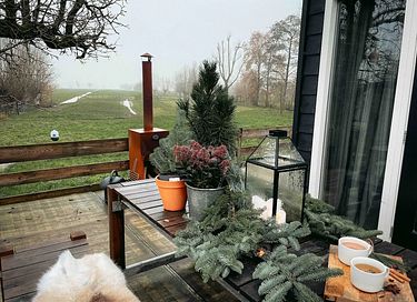 Tiny House in boomgaard tussen de schapen - 5