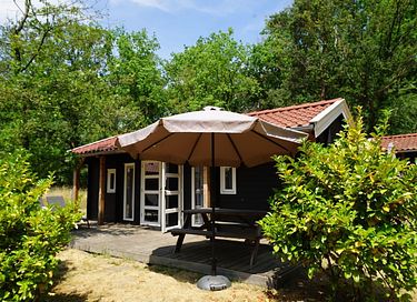 Vakantie in een Drentse kapschuur (4p) - 2