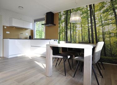 Comfortable holiday home (6p) in Friesland - 3