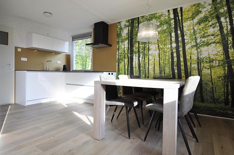 Comfortable holiday home (6p) in Friesland - 3