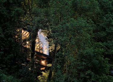 Unique cabane dans les arbes avec sauna privé dans les Ardennes - 36