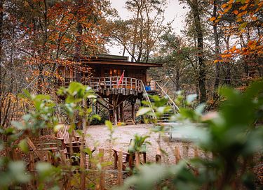 Prachtige boomhut (4p) midden in de natuur - 42