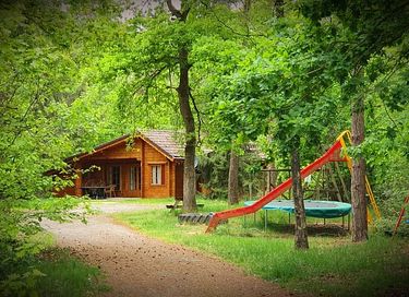 Cabane en rondins robuste (8 personnes) dans la forêt - 16