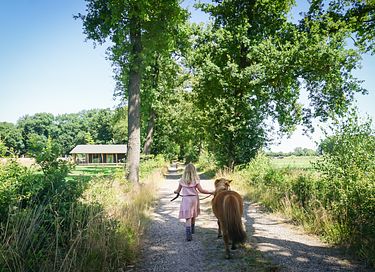 Luxe familielodge met hottub in Twente - 5