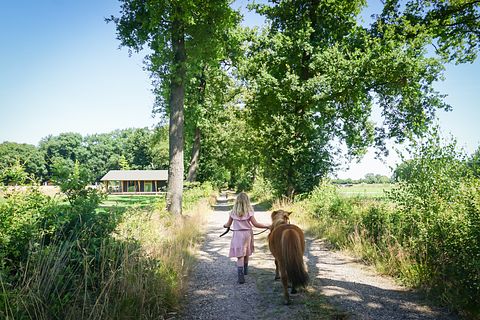 Luxe familielodge met hottub in Twente - 5